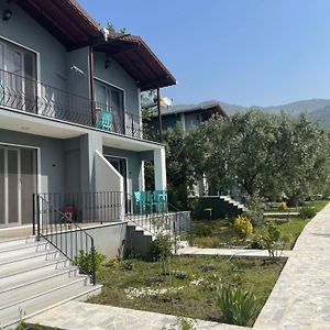 Adasu Otel